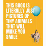 Pictures Of Tiny Animals That Will Make You Smile