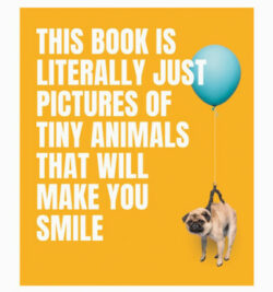 Pictures Of Tiny Animals That Will Make You Smile