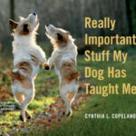 Really Important Stuff My Dog Has Taught Me Book