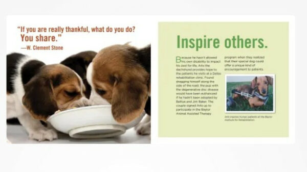 Really Important Stuff My Dog Has Taught Me Book 2