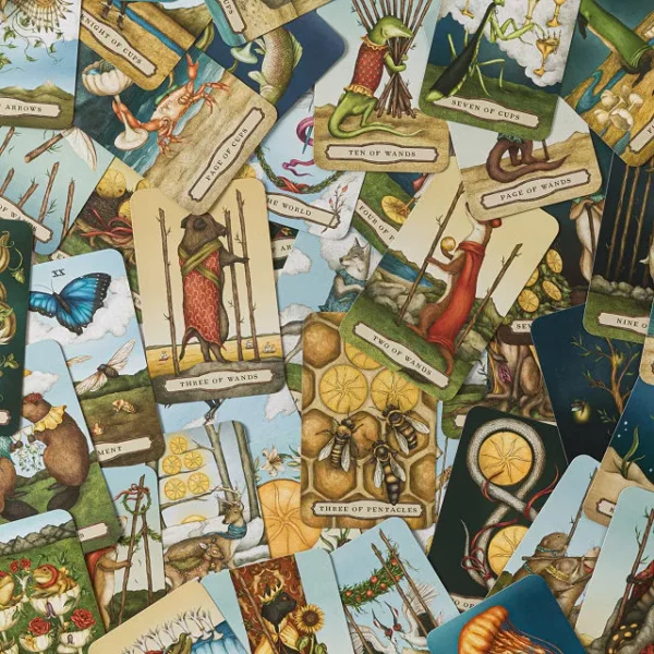 Tarot Of The Woodland Wardens 2