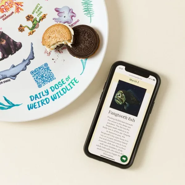 Weird Animal Fact Everyday Qr Kids Plate 1