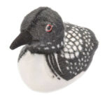 Audubon Loon 5 Plush With Sound