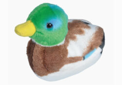 Audubon Mallard Duck With Sound