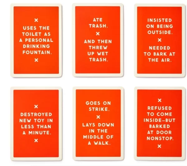 Because This Dog Is Embarrassing - Pet Shame Praise Deck 2