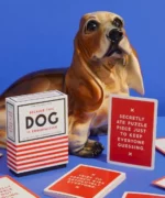 Because This Dog Is Embarrassing - Pet Shame Praise Deck 3