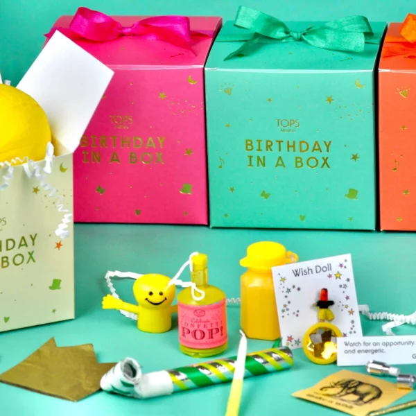 Birthday In A Box (assorted Colors) 3