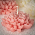 Blooming Flower Candle Set 2