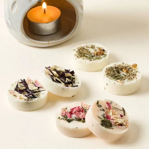 Botanical Wax Melt Gift Set 1