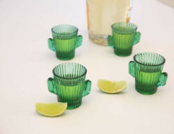 Cactus Shot Glasses, Set Of 4