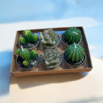 Cactus Tealight Candles, Set Of 6 Assorted 1