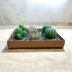 Cactus Tealight Candles, Set Of 6 Assorted