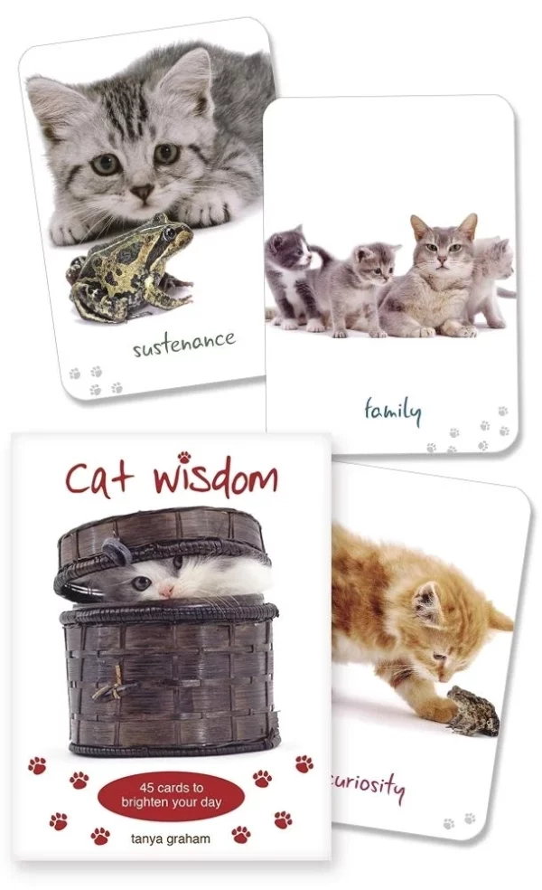 Cat Wisdom Cards 1