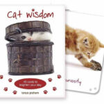 Cat Wisdom Cards
