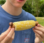 Dachshund Corn Holders, Set Of 8 2