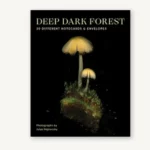 Deep Dark Forest Notecards