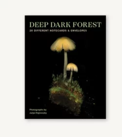 Deep Dark Forest Notecards