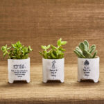 East Of India Small Planter Pot 1