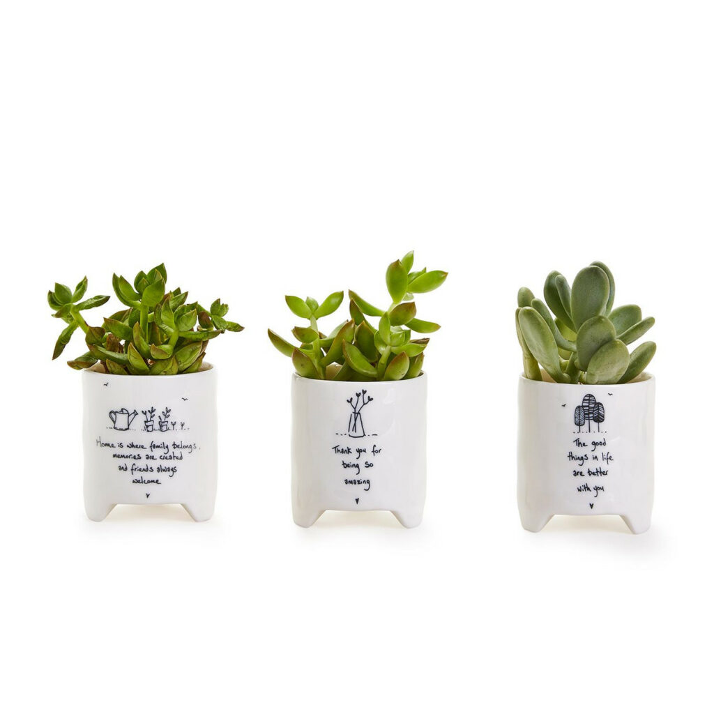 East Of India Small Planter Pot