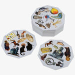 Eidos Image Matching Card Game 2