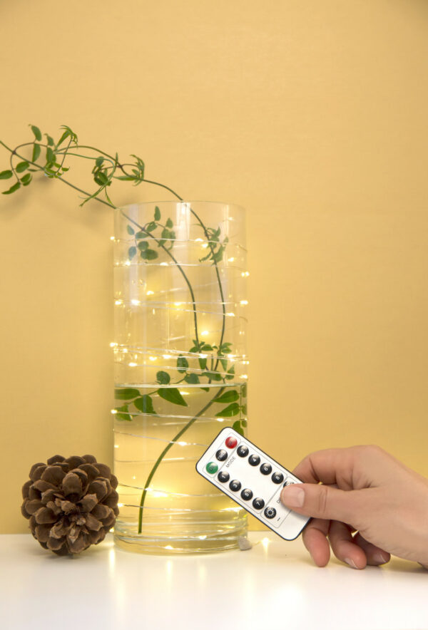 Extra Long Silver String Led Lights 2