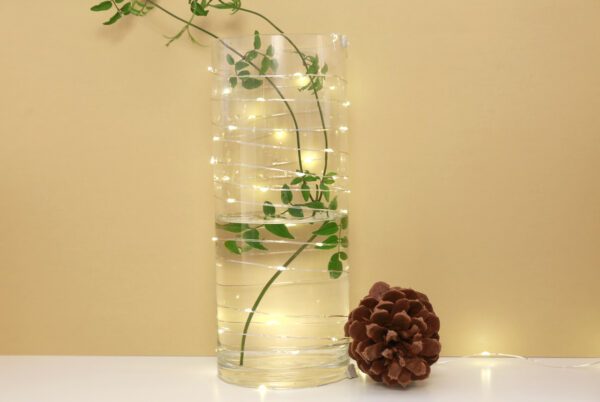 Extra Long Silver String Led Lights 3