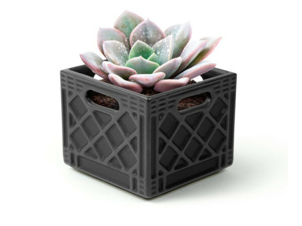 Fancy Plants Milk Crate Planter 2