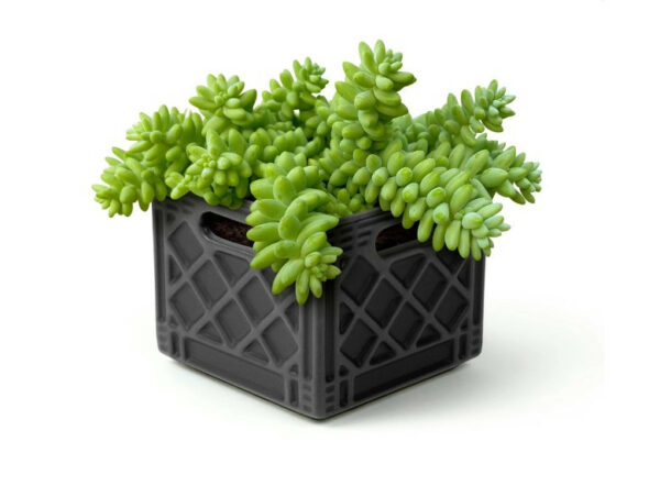 Fancy Plants Milk Crate Planter 4