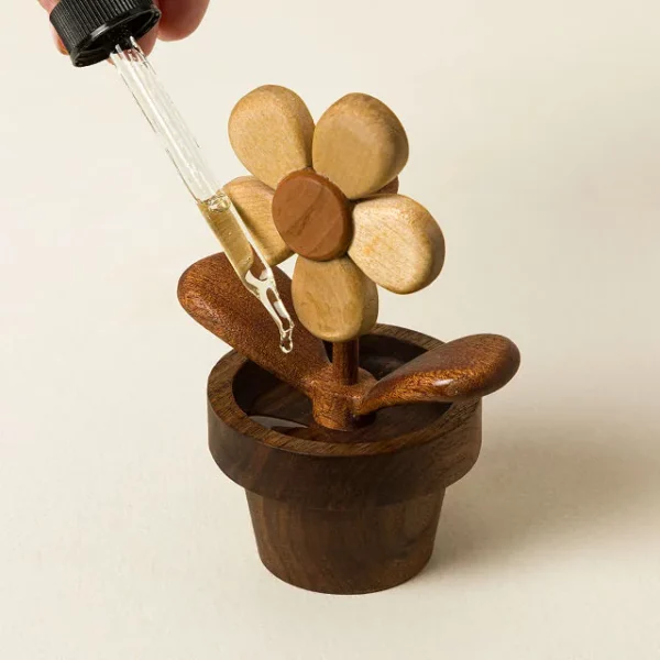Flowerpot Diffuser & Desk Spinner 1