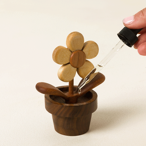 Flowerpot Diffuser & Desk Spinner 2