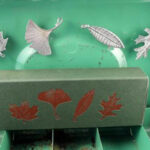 Forest Leaves Magnet Set, Set Of 4