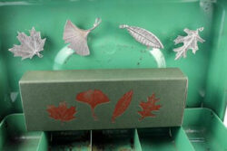 Forest Leaves Magnet Set, Set Of 4