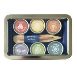 Growing Wishes - Joy Flowers Mini Planting Kit