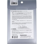 Hacomo Paper Craft - Osaka Castle 2