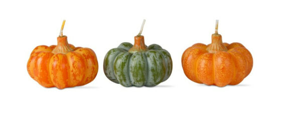 Heirloom Pumpkin Candles Set Of 3 1