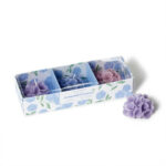 Hydrangea Scented Candles, Set Of 3 1