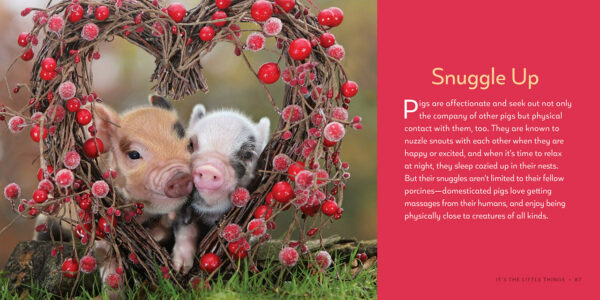 It's The Little Things 1