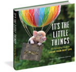 It's The Little Things