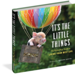 It's The Little Things