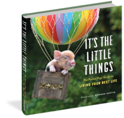 It's The Little Things