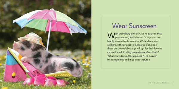 It's The Little Things 3