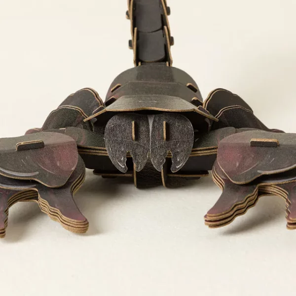 Jungle Creatures 3d Diy Build Kit 2