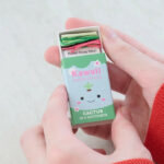 Kawaii Cactus Cross Stitch Matchbox
