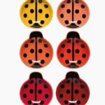 Ladybug Pinch Bowls, Set Of 6