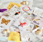 Little Valentine Surprizes, Bag Of 10 Treats 2