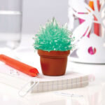 Magic Cactus Kit - Green 1