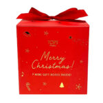 Merry Christmas In A Box