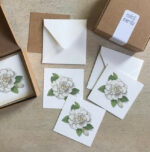 Mini Gift Card Set 6