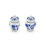 Mini Ginger Jar Salt & Pepper Set 2