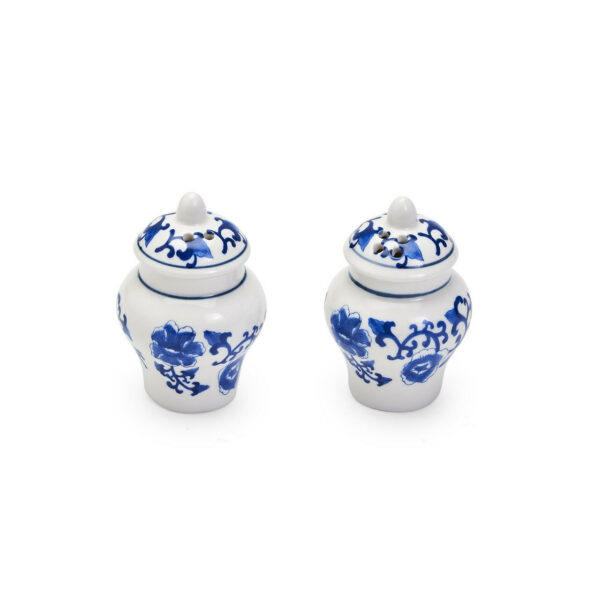 Mini Ginger Jar Salt & Pepper Set 2